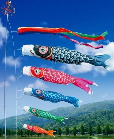 http://www.koinobori-japan.jp/photo(Yuzen-goi)b1.jpg